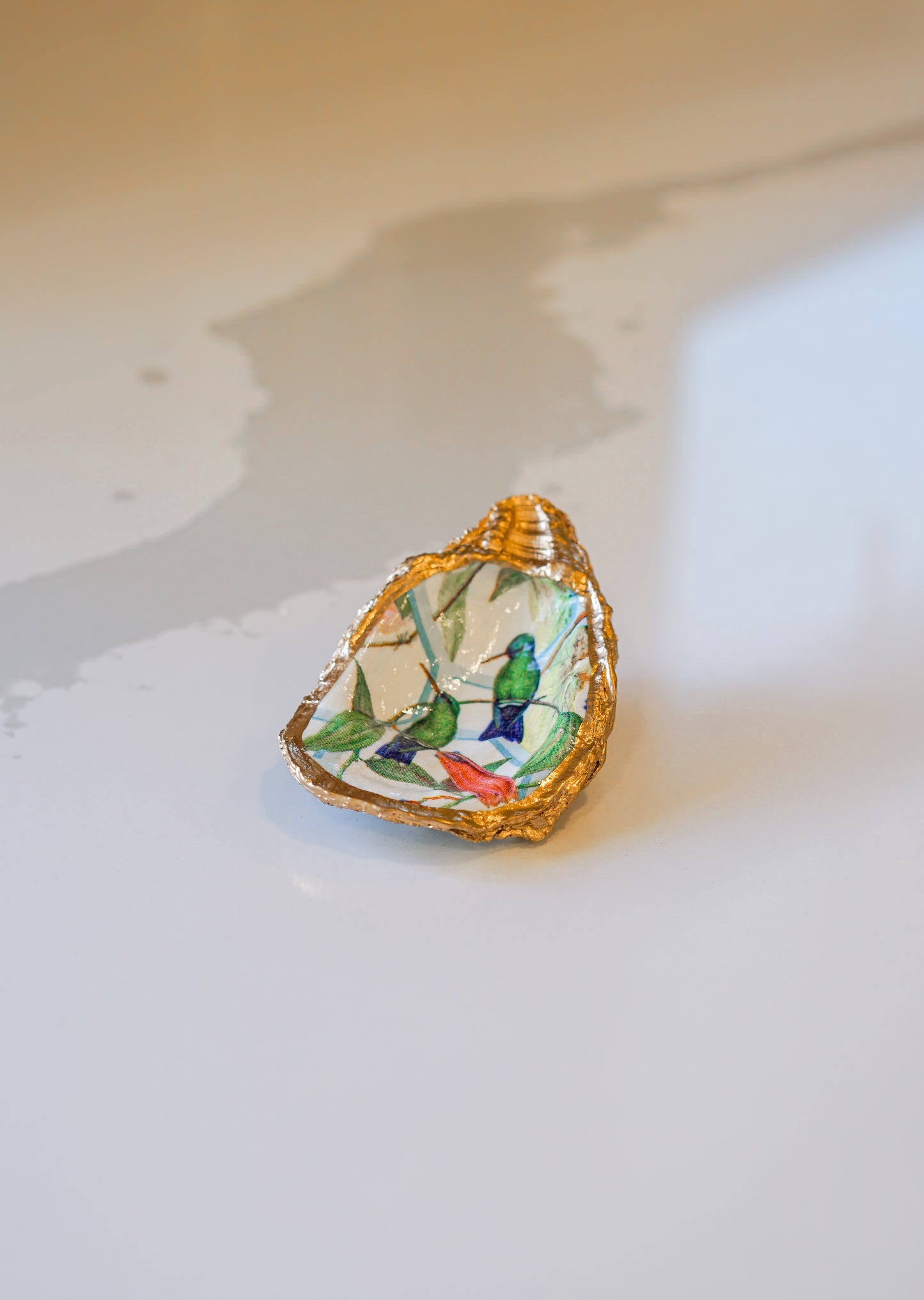 Hummingbird Oyster Shell