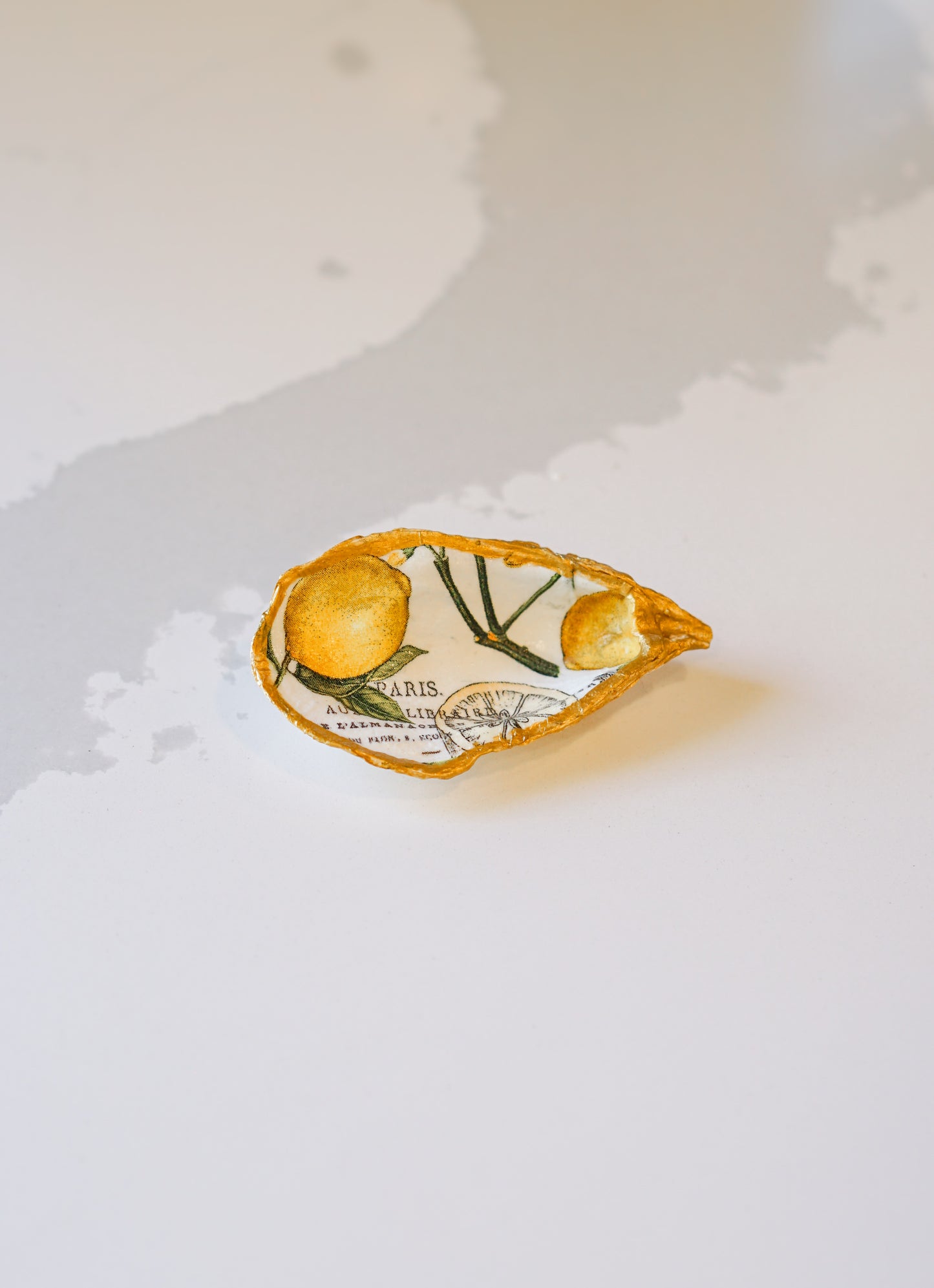 Small Lemon Print Oyster Shell