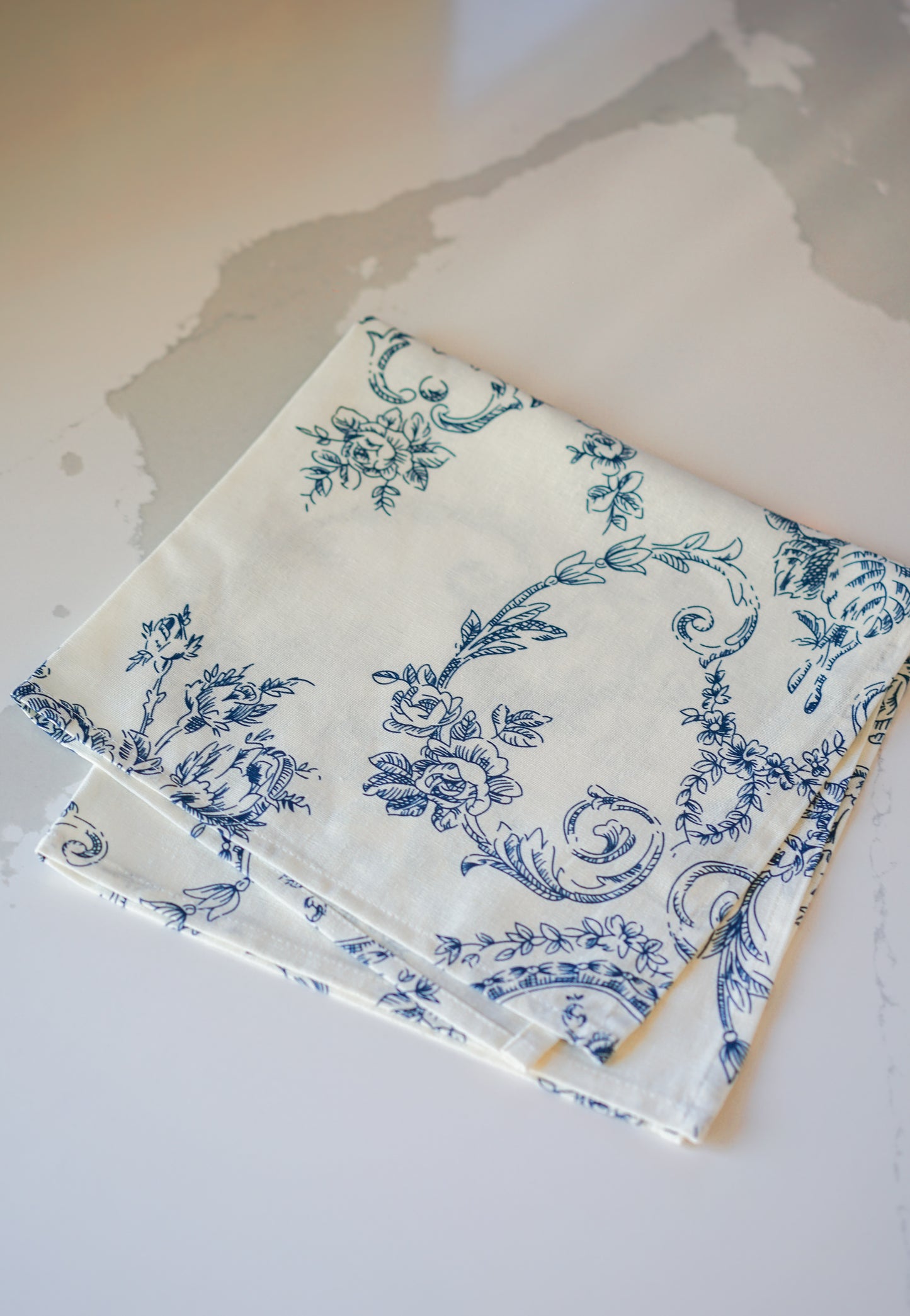 Toile Floral Cloth Napkins, Set of 4